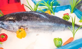 Gia Lai sắp đãi khách 5.000 suất cá ngừ đại dương 