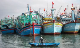 Gia Lai siết chặt kiểm soát tàu cá, phân công cán bộ, đảng viên theo dõi từng tàu