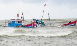Tàu cá ngư dân Gia Lai bị tàu nước ngoài tông, thuyền trưởng mất tích