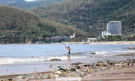 Bãi biển Quy Nhơn ngập rác 