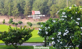 Sắc hương FLC Golf Links Quy Nhơn: Nơi thiên nhiên kiến tạo sân chơi đỉnh cao