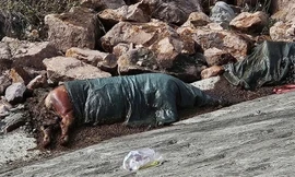 Gia Lai: Tiếp tục phát hiện xác heo chết vứt bừa bãi 