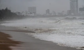 TPHCM kích hoạt ứng phó khẩn cấp bão số 13