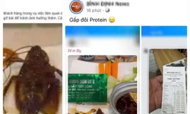 Làm rõ việc con gián xuất hiện trong món ăn tại một nhà hàng ở Quy Nhơn