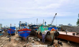 Lý do ngư dân Đà Nẵng bị 'mắc cạn'