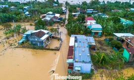 Nước lũ bủa vây hàng trăm hộ dân ở vùng Đại Lộc