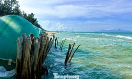 Đà Nẵng: Biển xâm thực, sóng 'ngoạm' bờ uy hiếp từng ngày 