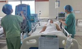 Huế ghi nhận 42 ca bệnh, 4 trường hợp tử vong do liên cầu lợn