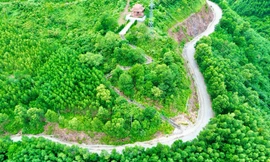 Đề xuất ‘lên đời’ quốc lộ vượt rừng núi hiểm trở ở Huế