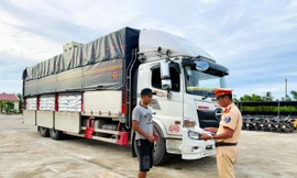 Phát hiện gần 30 tấn đường và lượng lớn gỗ không rõ nguồn gốc