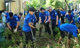 Thanh niên Huế ra quân Ngày Chủ nhật xanh 