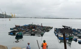 Yêu cầu người dân không ở lại trên các lồng bè khi có bão để tránh gặp nguy hiểm. 