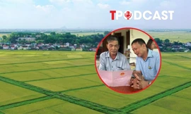 Đất sau 'dồn điền đổi thửa' sẽ được cấp sổ đỏ như thế nào?