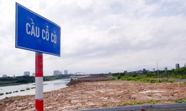 Đà Nẵng giám sát chặt việc đổ đất ở sông Cổ Cò