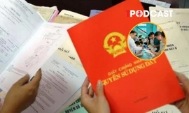 Bỏ cọc đấu giá đất có thể bị cấm hoạt động đến 5 năm