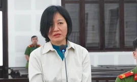 Đấu giá 9 ô tô khách của nữ đại gia trốn thuế hàng chục tỷ đồng ở Đà Nẵng