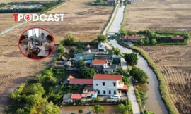 Từ 2026, nới lỏng điều kiện tách thửa đất