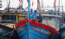 Ngư dân Đà Nẵng đội mưa xối xả, neo đậu tàu thuyền tránh bão số 10