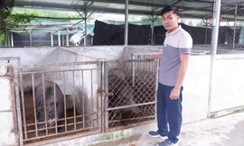 Người trẻ 'đánh thức' vùng đất hoang bằng nông nghiệp tuần hoàn