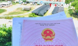 Chậm nộp hồ sơ sẽ mất quyền lợi giảm tiền thuê đất sau ngày 30/11/2025