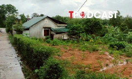 Các đối tượng được đề xuất miễn thuế sử dụng đất nông nghiệp