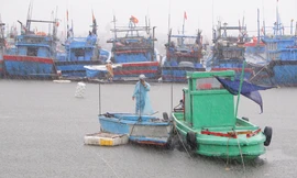 Bão số 5 liên tục tăng cấp, Đà Nẵng ra công điện khẩn sẵn sàng ứng phó