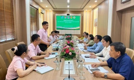 Từ đồng vốn ưu đãi đến sinh kế bền vững cho hơn 7.100 lượt hộ dân ở Đà Nẵng