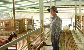 Hành trình của anh nông dân thoát nghèo bền vững từ mô hình nông nghiệp tuần hoàn