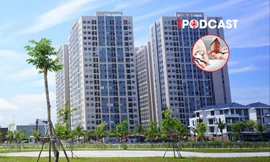 Hộ gia đình, cá nhân cho thuê nhà phải nộp những loại thuế nào?