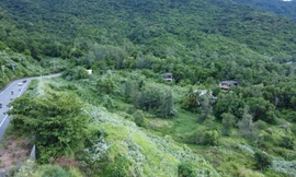 Một resort ở Đà Nẵng vi phạm an toàn thực phẩm