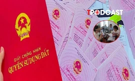 Thủ tục cấp sổ đỏ lần đầu tại cấp xã có 3 bước, hoàn thành trong 3 ngày