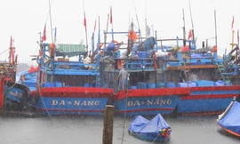 Siêu bão Ragasa diễn biến phức tạp: Nhiều tỉnh, thành ra công điện khẩn