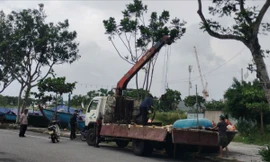 Trước giờ bão số 12 áp sát, ngư dân Đà Nẵng tất bật đưa tàu thuyền lên bờ trú tránh