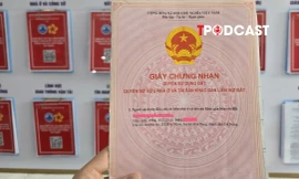 Thời gian cấp sổ đỏ lần đầu không bao gồm thời gian niêm yết hồ sơ và xác định nghĩa vụ tài chính