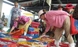 Chợ cá lớn nhất miền Trung 'cháy hàng' khi bão số 5 cận kề