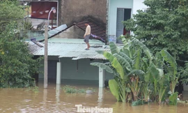 Cả xóm ở Đà Nẵng trắng đêm chạy lũ khi nước sông dâng không ngừng