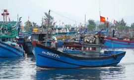 Ứng phó bão Bualoi, Đà Nẵng dự kiến 'đóng cửa biển' từ trưa 27/9