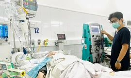 Dọn dẹp sau mưa lũ, nhiều người bị rắn độc cắn