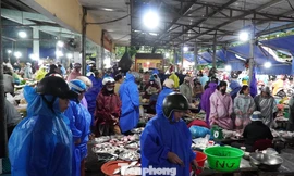 Người dân Đà Nẵng đi mua thực phẩm 'tích trữ 3 ngày' từ tinh mơ