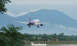 Nhiều hãng hàng không quốc tế tăng chuyến đến Đà Nẵng 