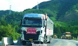 Ấm lòng những chuyến xe hướng về miền Bắc nối nhau trên cao tốc