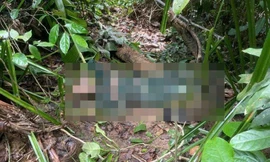 Tìm thấy thi thể người đàn ông sau 4 ngày vào rừng mất tích