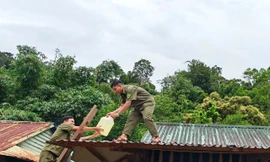 Ứng phó bão Bualoi: Đà Nẵng mưa lớn; Hà Tĩnh sơ tán hơn 15.700 người 