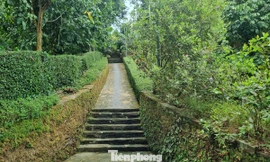 Tới ngôi làng cổ, tường đá rêu phong trong top đẹp nhất Việt Nam