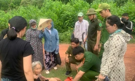Đà Nẵng: 17 giờ tìm cụ bà 86 tuổi đi lạc trong rừng sâu