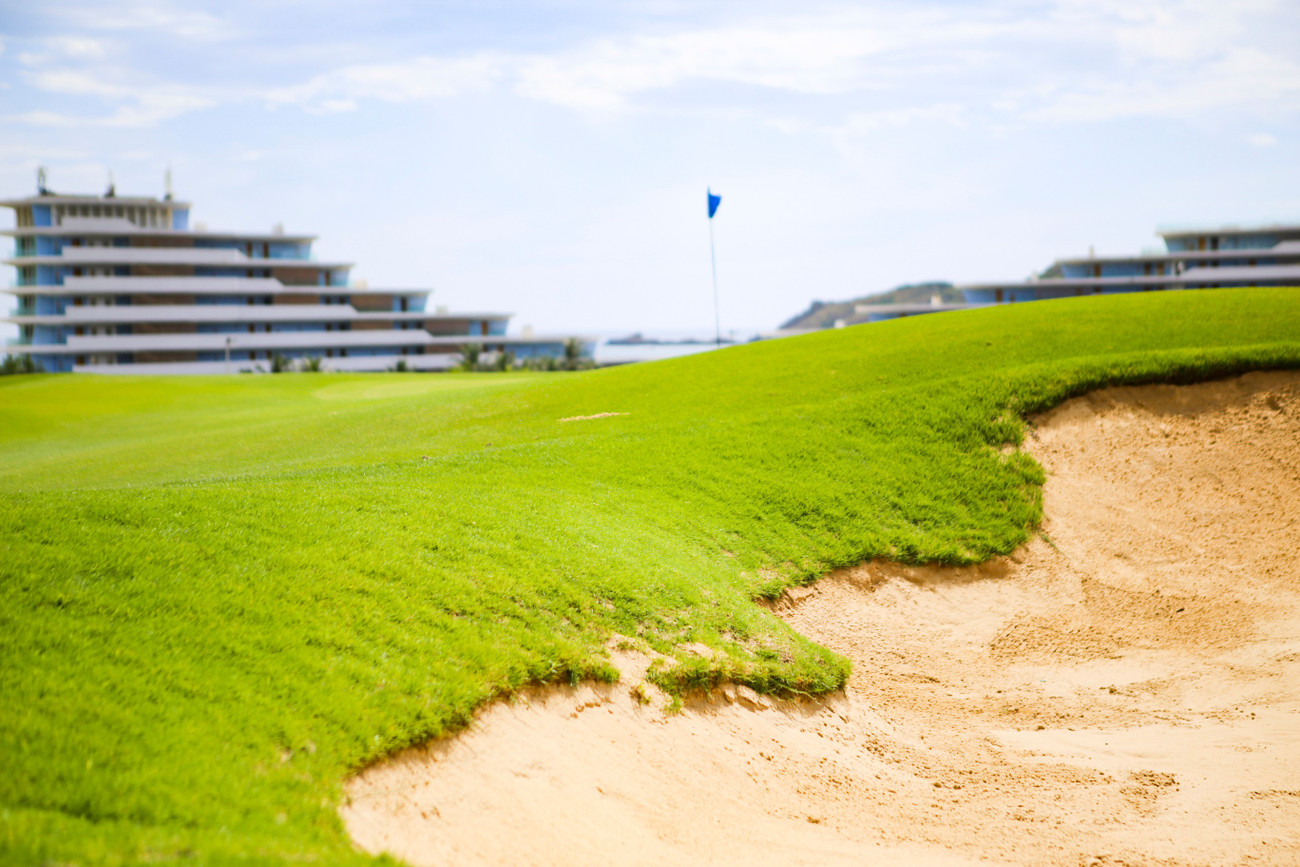 Трава на поле FLC Golf Links Quy Nhon — это трава сорта Platinum Paspalum, отличающаяся темно-зеленым и глянцевым цветом, гладкими листьями и высокой плотностью травы. img-0516.jpg