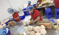 Thích ứng chính sách thuế của Mỹ vừa cấp bách, vừa lâu dài