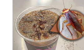 Cà phê gián gây sốc ở Trung Quốc