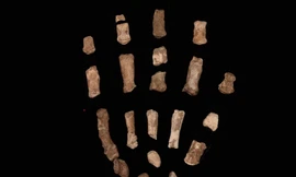 Đặc điểm gây bất ngờ trên bàn tay của người cổ