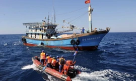 Việt Nam triển khai nhiều biện pháp cụ thể để ngư dân tuân thủ quy định IUU
